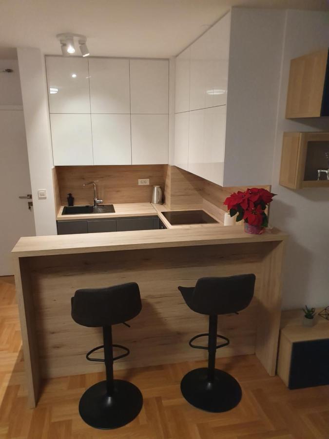 Apartman Luka זאגרב מראה חיצוני תמונה